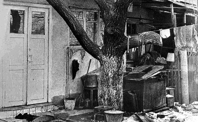 Иллюстрация к книге — Ноев ковчег писателей [i_061.jpg]