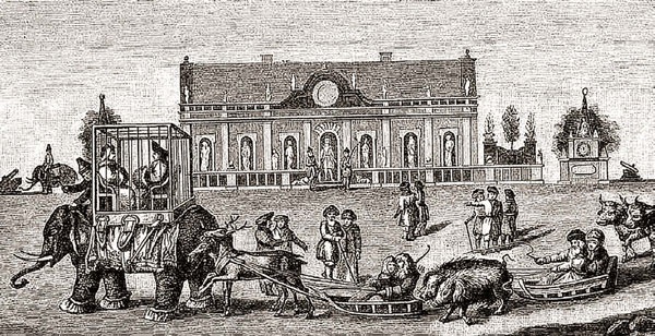 Иллюстрация к книге — Бабье царство. Русский парадокс [i_041.jpg]