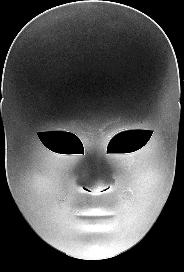 Иллюстрация к книге — Мозг материален [i_003.jpg]