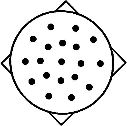 Иллюстрация к книге — Мозг материален [i_020.jpg]