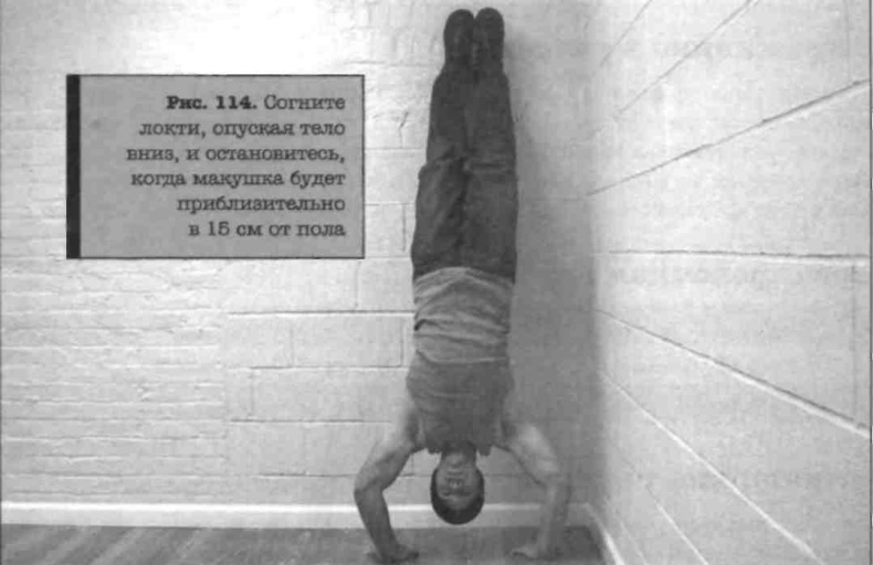 Иллюстрация к книге — Тренировочная зона. Секретная система физических тренировок [_135.jpg]