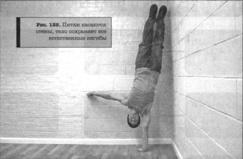 Иллюстрация к книге — Тренировочная зона. Секретная система физических тренировок [_146.jpg]