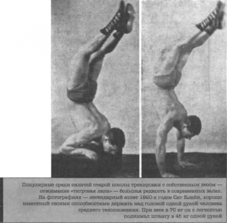 Иллюстрация к книге — Тренировочная зона. Секретная система физических тренировок [_151.jpg]