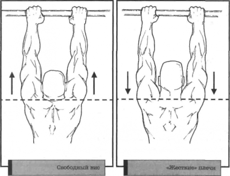 Иллюстрация к книге — Тренировочная зона. Секретная система физических тренировок [_59.jpg]