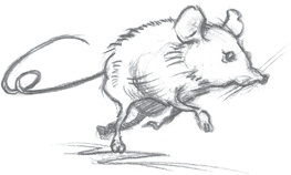 Иллюстрация к книге — Где-то там гиппопотам  [i_002.jpg]