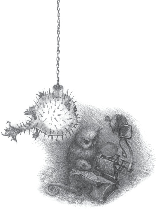 Иллюстрация к книге — Где-то там гиппопотам  [i_006.jpg]