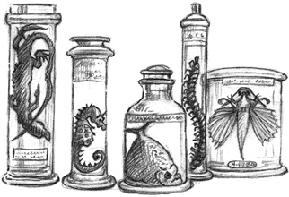 Иллюстрация к книге — Где-то там гиппопотам  [i_015.jpg]