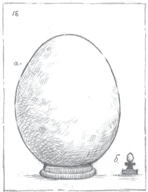 Иллюстрация к книге — Где-то там гиппопотам  [i_048.jpg]