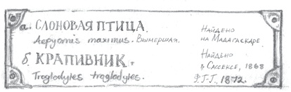 Иллюстрация к книге — Где-то там гиппопотам  [i_049.jpg]