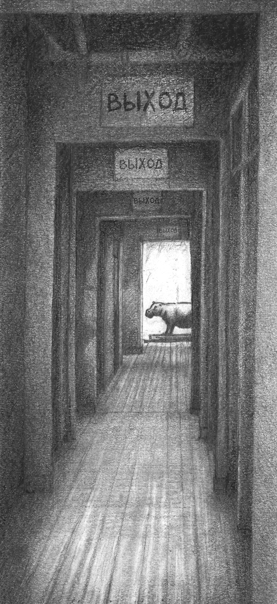 Иллюстрация к книге — Где-то там гиппопотам  [i_050.jpg]