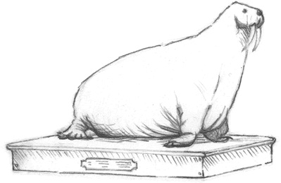 Иллюстрация к книге — Где-то там гиппопотам  [i_053.jpg]