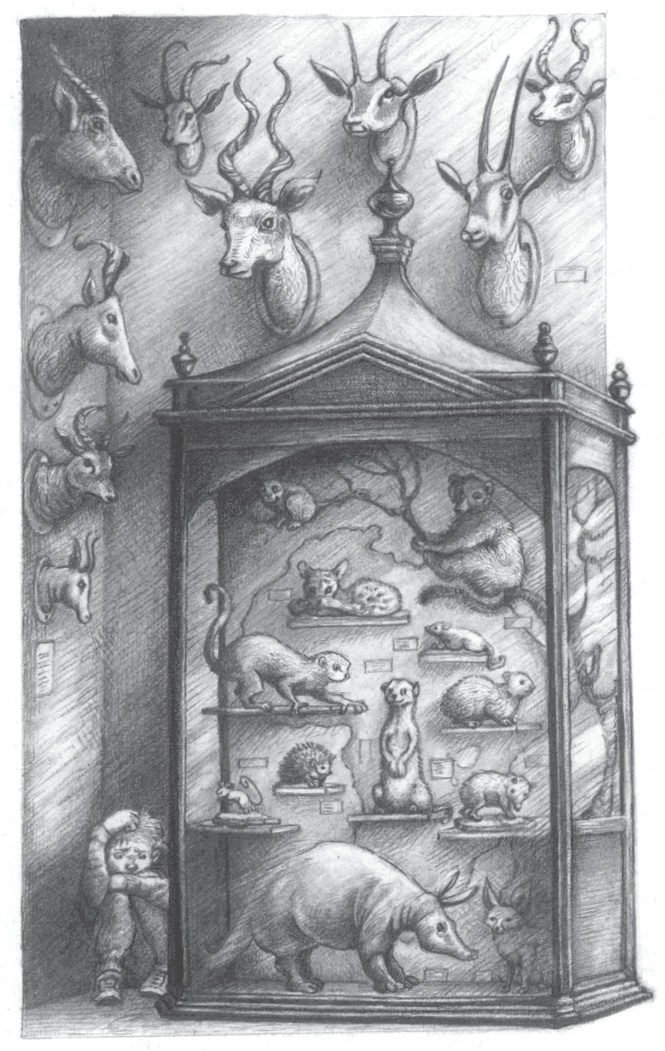 Иллюстрация к книге — Где-то там гиппопотам  [i_058.jpg]