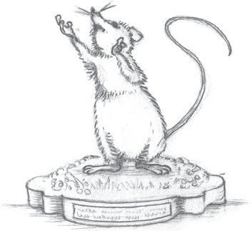 Иллюстрация к книге — Где-то там гиппопотам  [i_063.jpg]