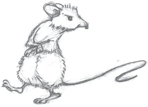 Иллюстрация к книге — Где-то там гиппопотам  [i_066.jpg]