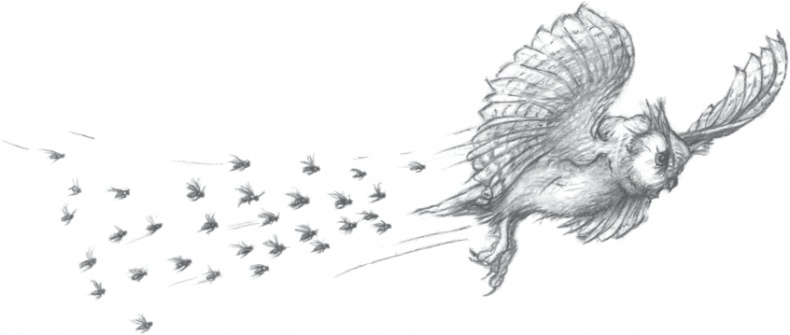 Иллюстрация к книге — Где-то там гиппопотам  [i_076.jpg]