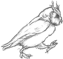 Иллюстрация к книге — Где-то там гиппопотам  [i_077.jpg]