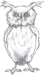 Иллюстрация к книге — Где-то там гиппопотам  [i_080.jpg]