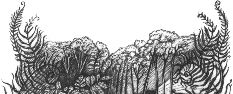 Иллюстрация к книге — Где-то там гиппопотам  [i_085.jpg]