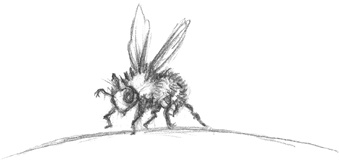 Иллюстрация к книге — Где-то там гиппопотам  [i_086.jpg]