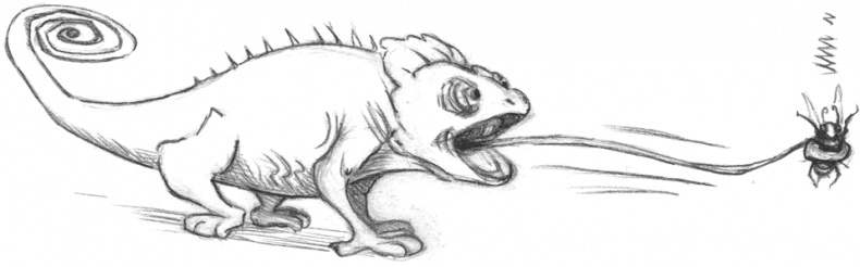 Иллюстрация к книге — Где-то там гиппопотам  [i_094.jpg]