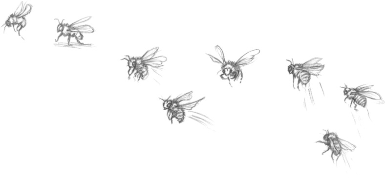 Иллюстрация к книге — Где-то там гиппопотам  [i_095.jpg]