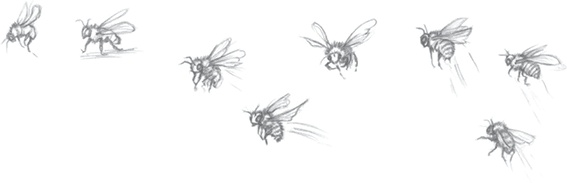 Иллюстрация к книге — Где-то там гиппопотам  [i_099.jpg]