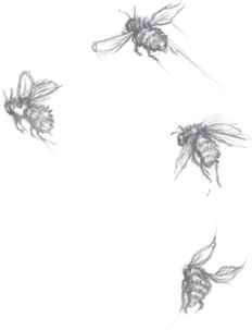 Иллюстрация к книге — Где-то там гиппопотам  [i_100.jpg]