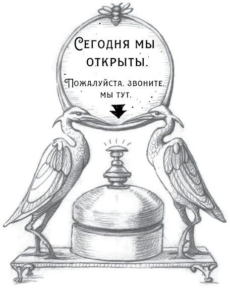 Иллюстрация к книге — Где-то там гиппопотам  [i_120.jpg]