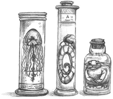 Иллюстрация к книге — Где-то там гиппопотам  [i_122.jpg]