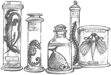 Иллюстрация к книге — Где-то там гиппопотам  [i_123.jpg]