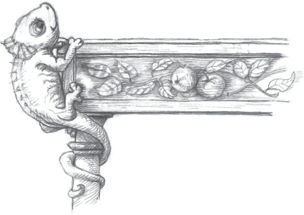 Иллюстрация к книге — Где-то там гиппопотам  [i_124.jpg]