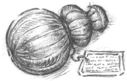 Иллюстрация к книге — Где-то там гиппопотам  [i_127.jpg]