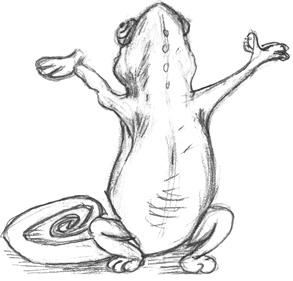 Иллюстрация к книге — Где-то там гиппопотам  [i_130.jpg]