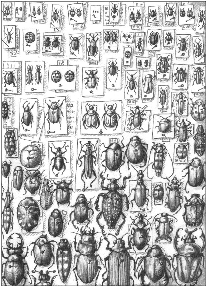 Иллюстрация к книге — Где-то там гиппопотам  [i_133.jpg]