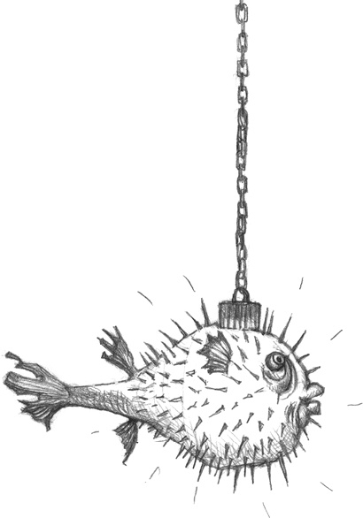 Иллюстрация к книге — Где-то там гиппопотам  [i_143.jpg]