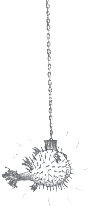 Иллюстрация к книге — Где-то там гиппопотам  [i_145.jpg]