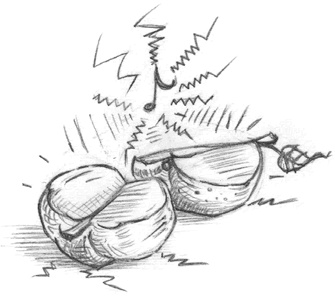 Иллюстрация к книге — Где-то там гиппопотам  [i_148.jpg]