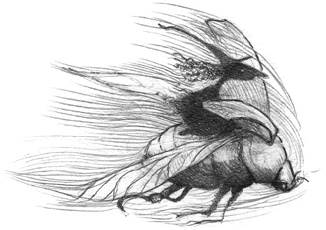 Иллюстрация к книге — Где-то там гиппопотам  [i_166.jpg]