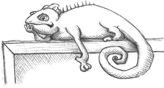 Иллюстрация к книге — Где-то там гиппопотам  [i_168.jpg]