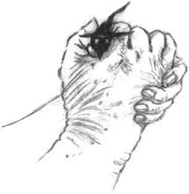 Иллюстрация к книге — Где-то там гиппопотам  [i_173.jpg]