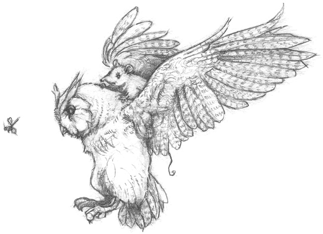 Иллюстрация к книге — Где-то там гиппопотам  [i_176.jpg]