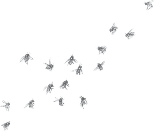 Иллюстрация к книге — Где-то там гиппопотам  [i_180.jpg]