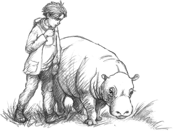 Иллюстрация к книге — Где-то там гиппопотам  [i_188.jpg]