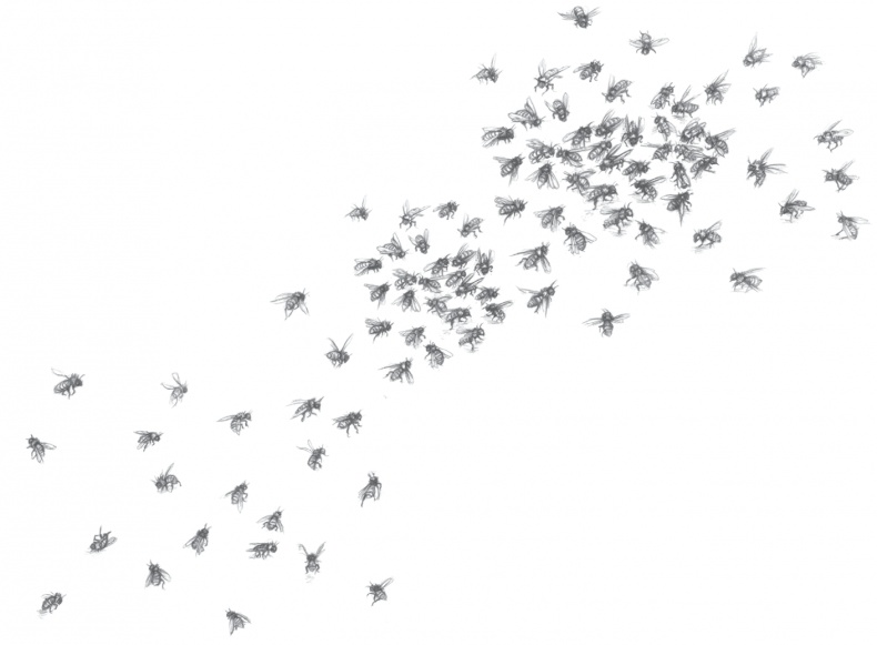 Иллюстрация к книге — Где-то там гиппопотам  [i_197.jpg]