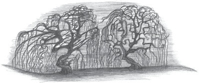 Иллюстрация к книге — Где-то там гиппопотам  [i_200.jpg]