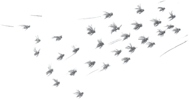 Иллюстрация к книге — Где-то там гиппопотам  [i_204.jpg]