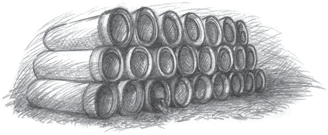 Иллюстрация к книге — Где-то там гиппопотам  [i_209.jpg]