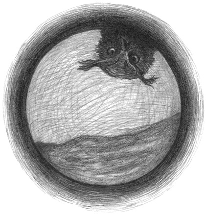 Иллюстрация к книге — Где-то там гиппопотам  [i_210.jpg]