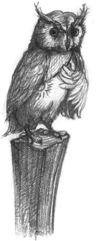 Иллюстрация к книге — Где-то там гиппопотам  [i_214.jpg]