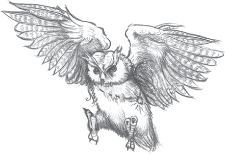 Иллюстрация к книге — Где-то там гиппопотам  [i_216.jpg]